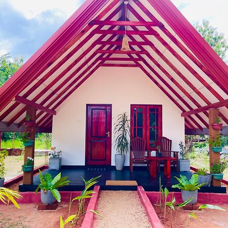 Sigiri Enaya Cottage シギリヤ エクステリア 写真