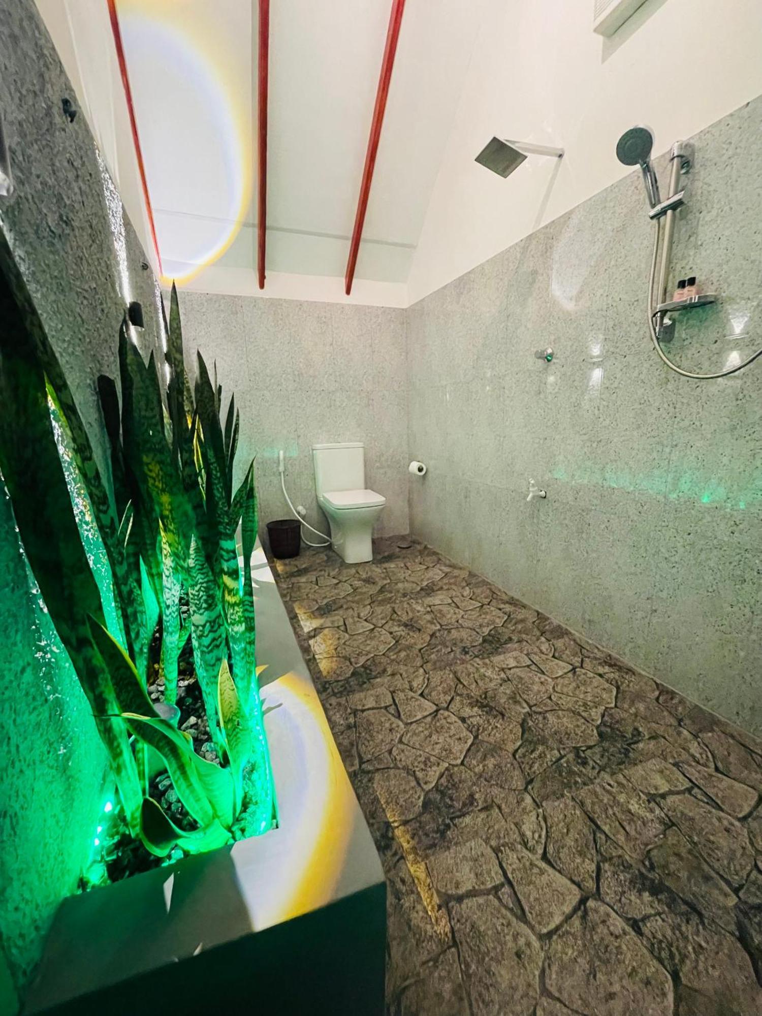Sigiri Enaya Cottage シギリヤ エクステリア 写真
