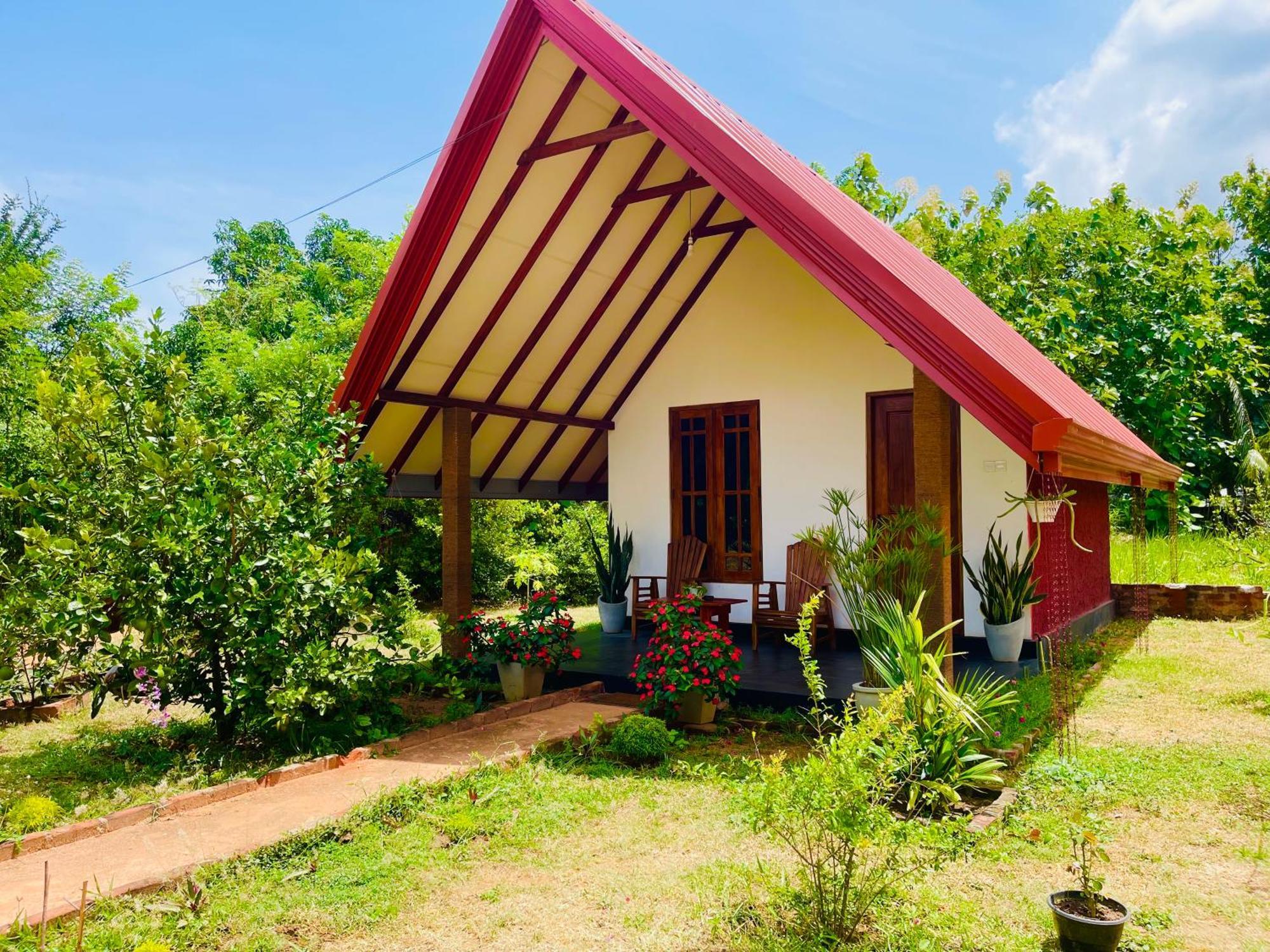Sigiri Enaya Cottage シギリヤ エクステリア 写真