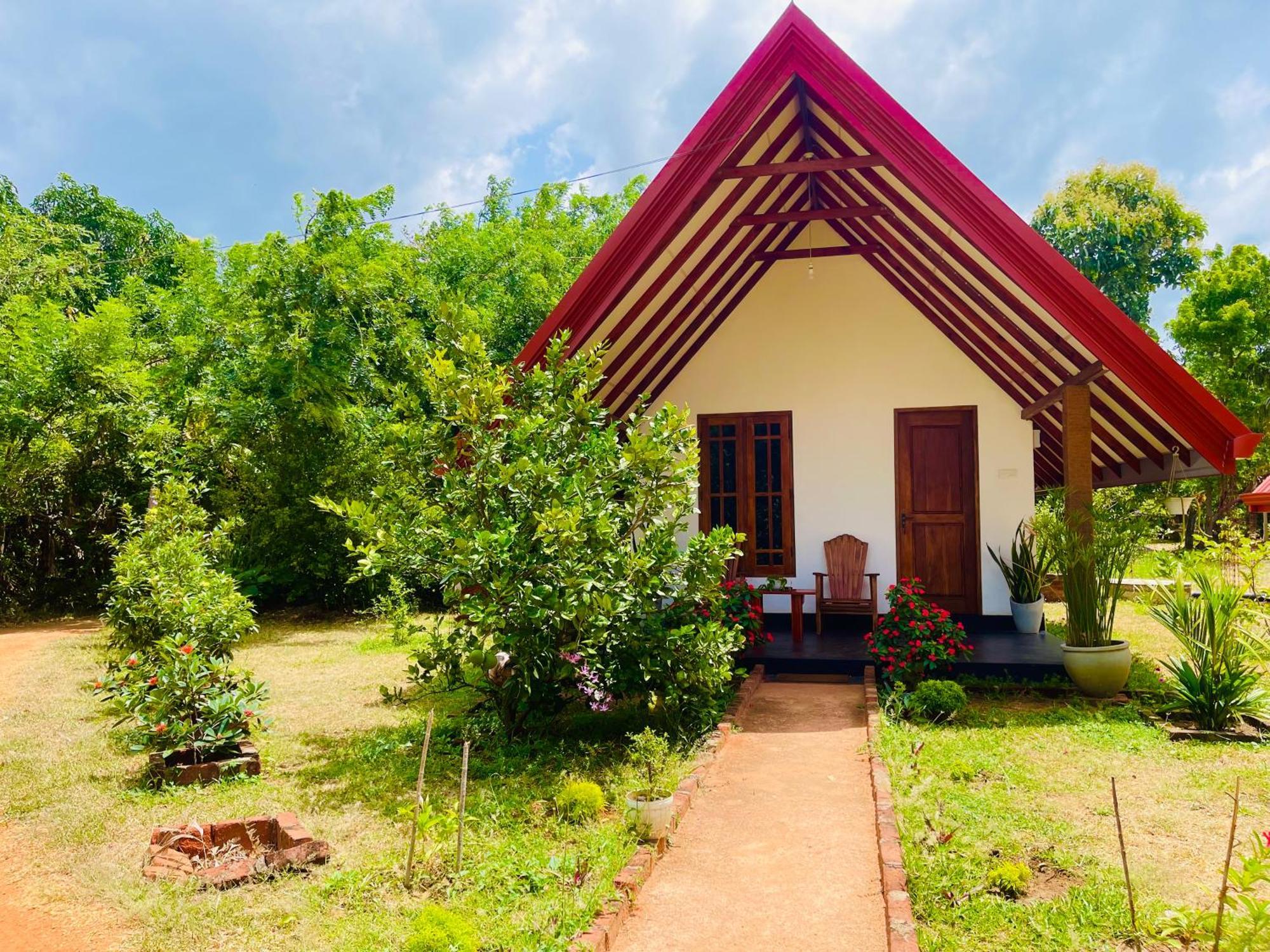 Sigiri Enaya Cottage シギリヤ エクステリア 写真