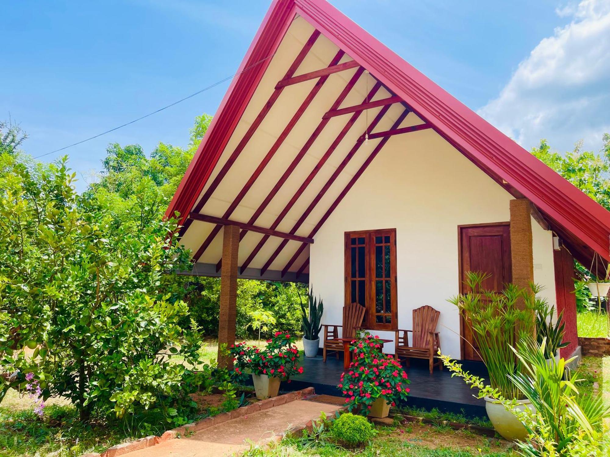 Sigiri Enaya Cottage シギリヤ エクステリア 写真