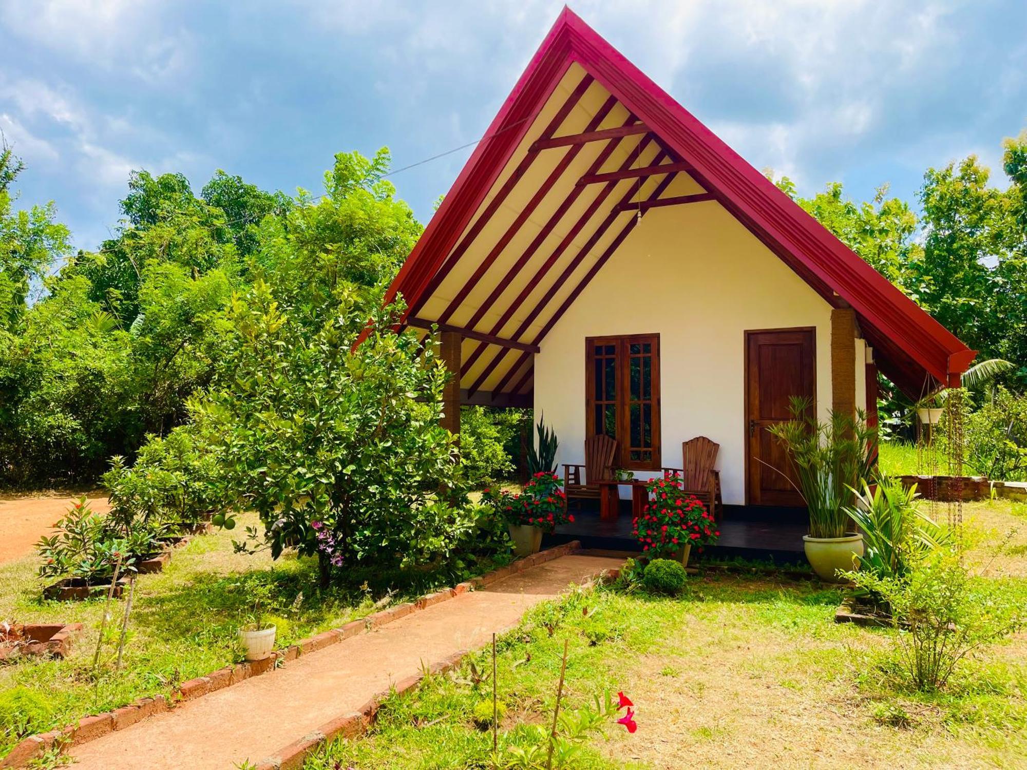 Sigiri Enaya Cottage シギリヤ エクステリア 写真
